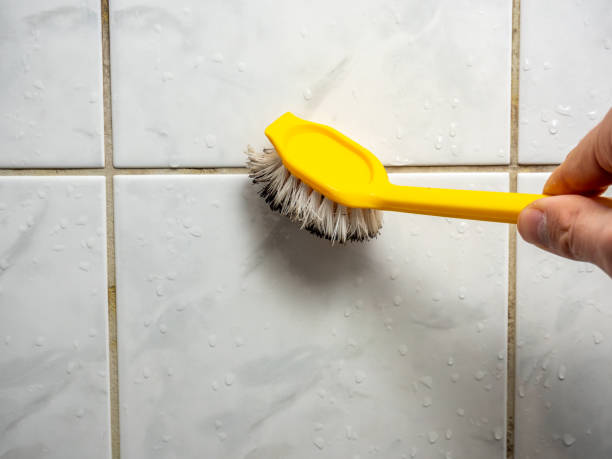 Best Commercial Mold Removal  in South Vacherie, LA