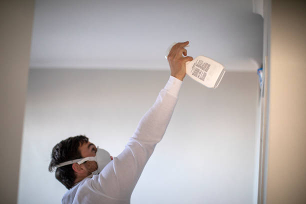Best Home Mold Removal  in South Vacherie, LA