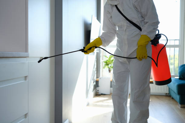 Best Commercial Mold Removal  in South Vacherie, LA